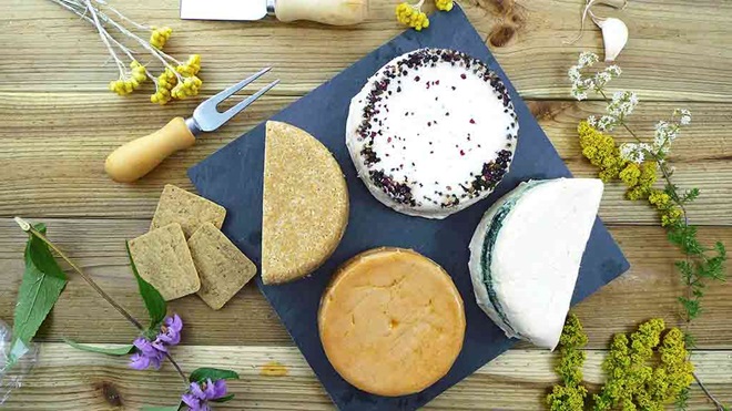 vegan_cheeses_and_crackers_on_a_table_